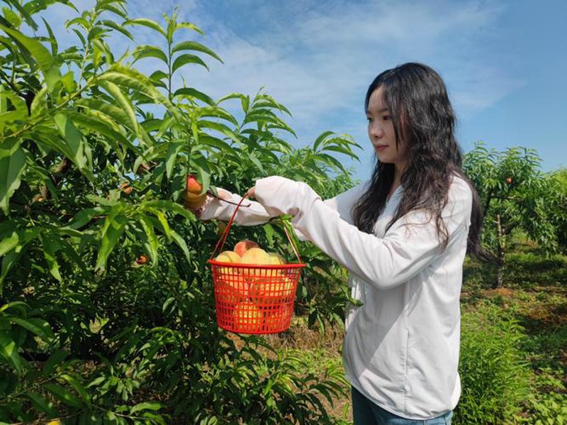 了解并实践有机农业：从概念到行动